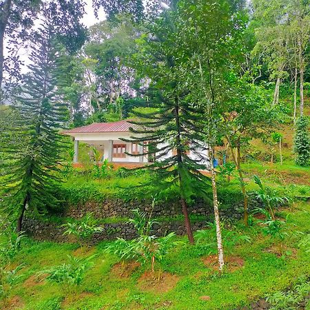 Anivilla Holiday Home Kunjithanny Anachal Exteriör bild
